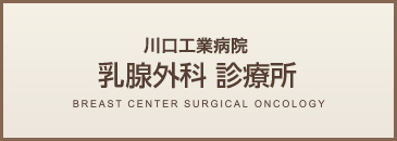 川口工業病院 乳腺外科 診療所